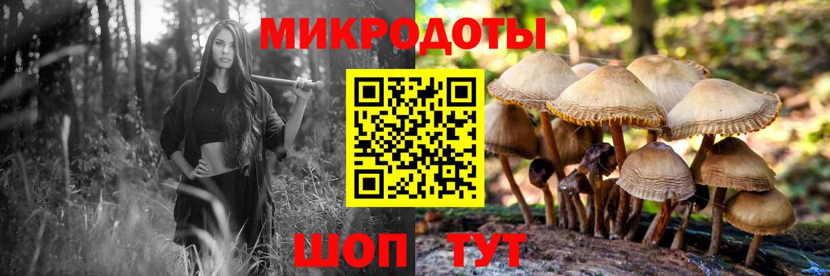 Галлюциногенные грибы мухоморы  Вход с VPN  Звенигород 
